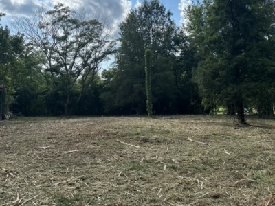 Lot Clearing Job in Birmingham, Alabama 