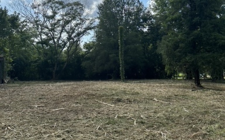 Lot Clearing Job in Birmingham, Alabama 