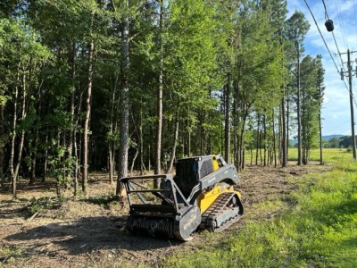 Mulching job done in Birmingham Alabama