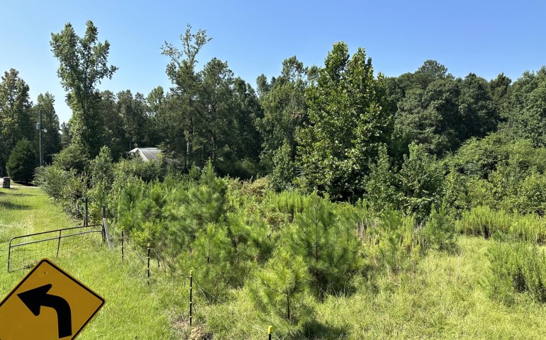 Pasture Restoration in Birmingham, Alabama