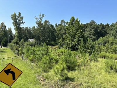 Pasture Restoration in Birmingham, Alabama